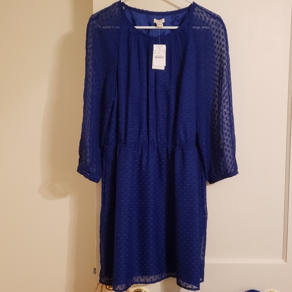 J. Crew NWT Blue Dotted Dress, 10 - Picture 1 of 6